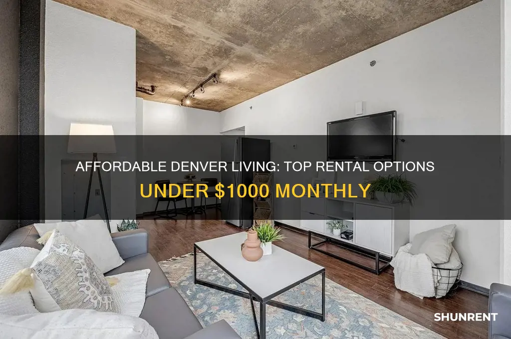 where to rent around 1000 in denver co
