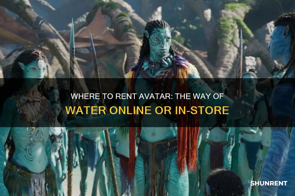 where to rent avatar the way of the water