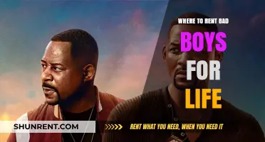 Exploring Options: Where to Rent 'Bad Boys for Life