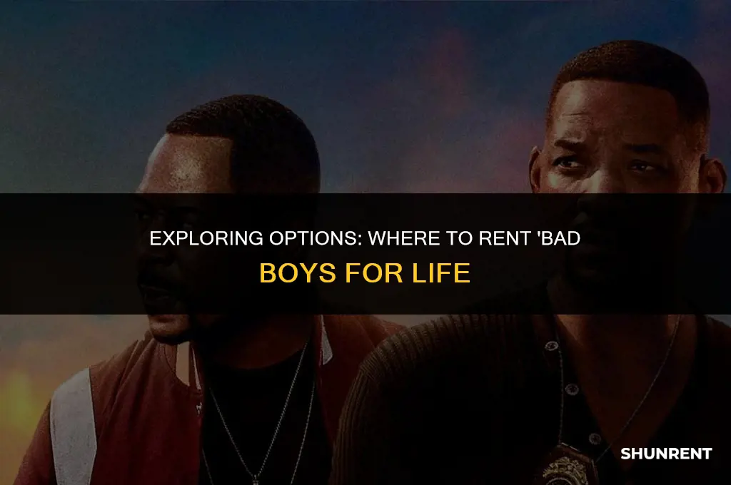 where to rent bad boys for life