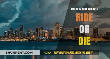 Rent Bad Boys Ride or Die: Top Locations for Fans