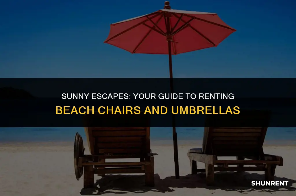where to rent beach chairs and umbrella