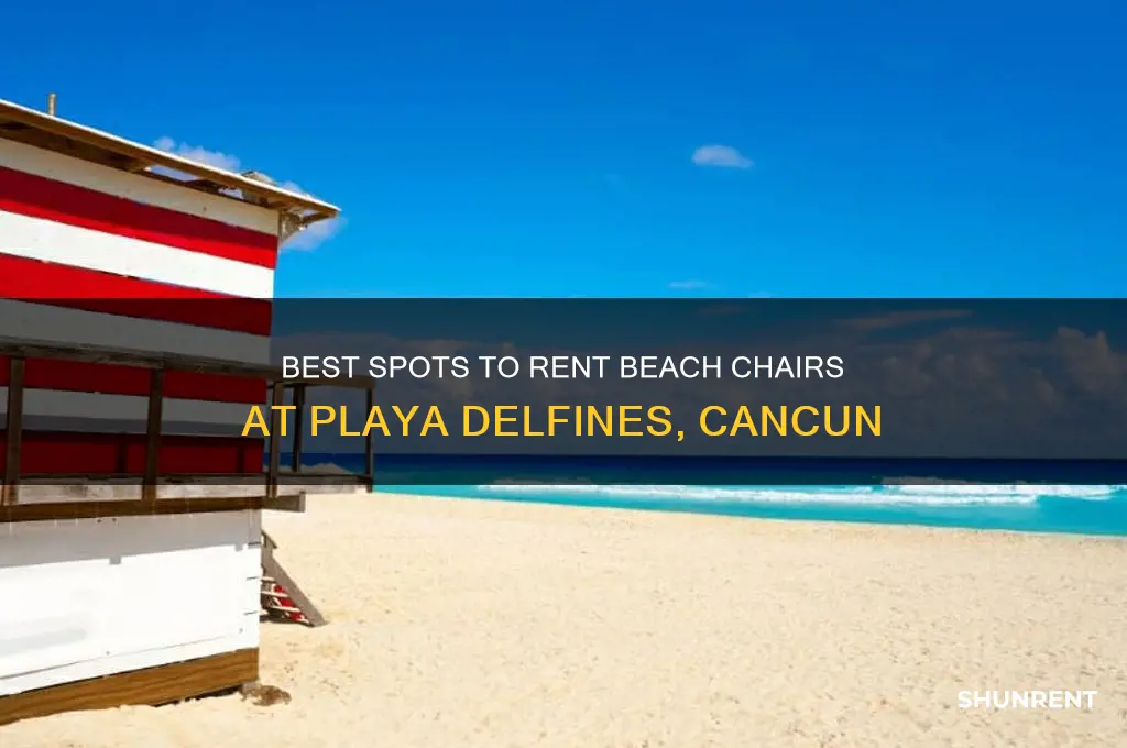 where to rent beach chairs in playa delfines