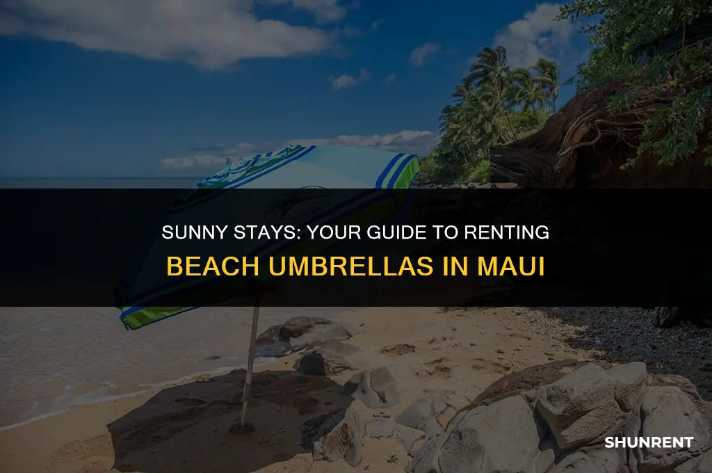 where to rent beach umbrellas in maui