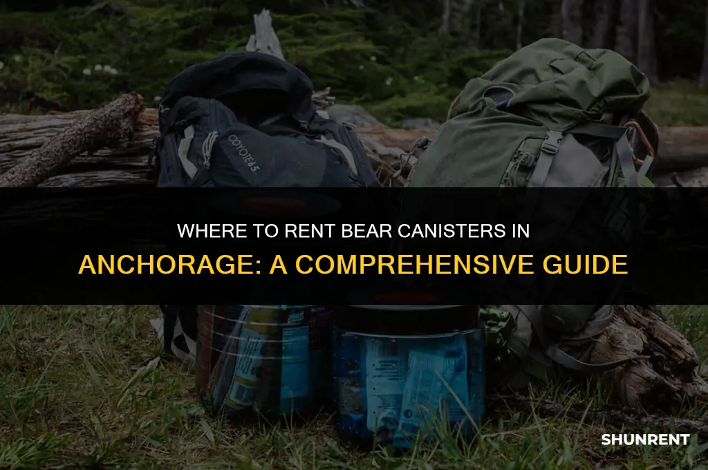 where to rent bear canister in anchorage