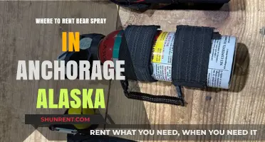 Anchorage Bear Spray Rentals: Top Locations for Outdoor Safety