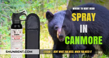 Where to Rent Bear Spray in Canmore: A Comprehensive Guide