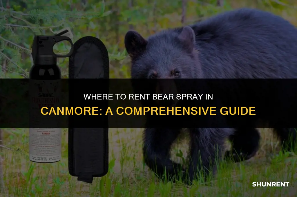 where to rent bear spray in canmore