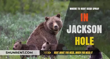 Jackson Hole Bear Spray Rentals: Your Ultimate Safety Guide