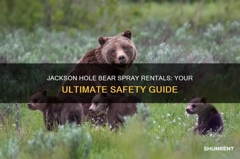 where to rent bear spray in jackson hole