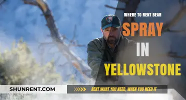 Exploring Yellowstone Safely: Your Guide to Renting Bear Spray
