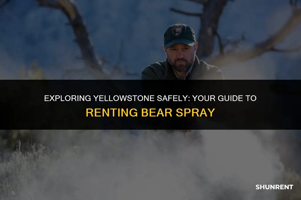 where to rent bear spray in yellowstone
