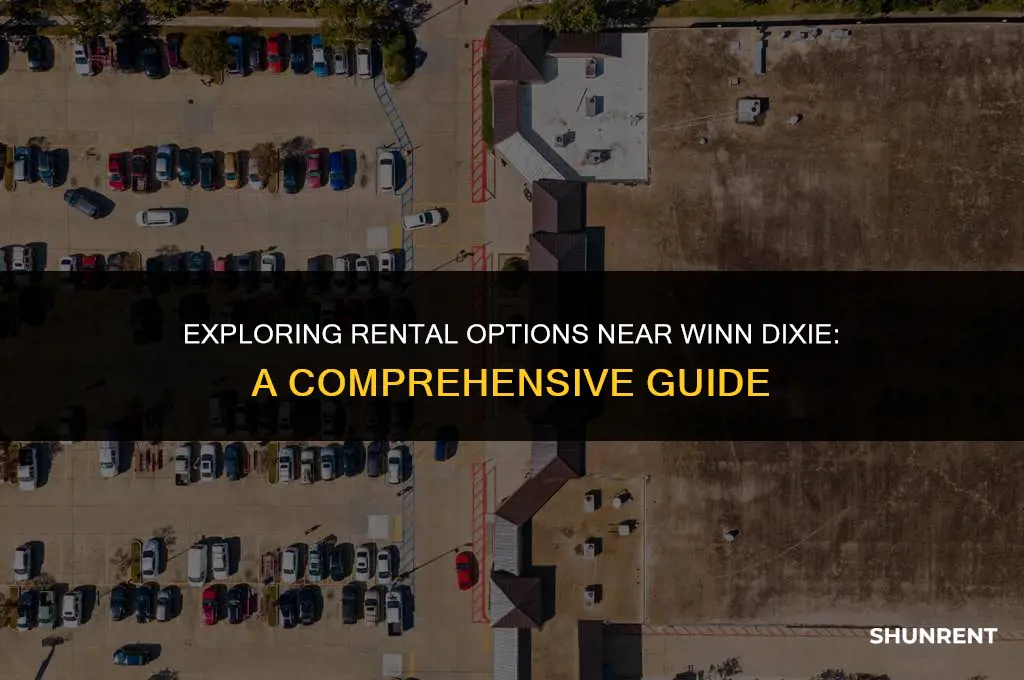 where to rent because of winn dixie