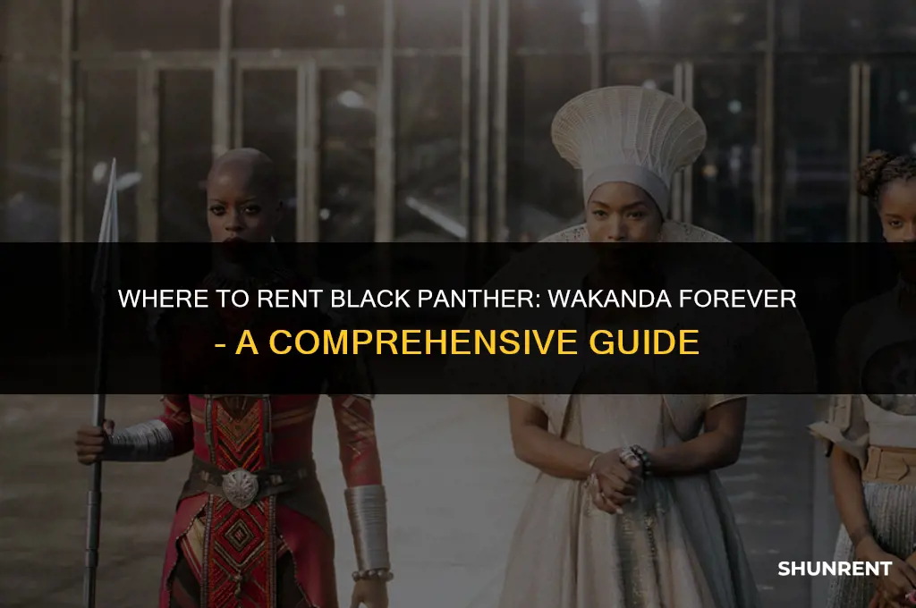where to rent black panther wakanda forever