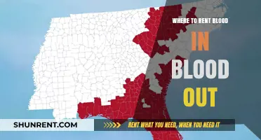 Exploring Options: Where to Rent 'Blood In, Blood Out' Safely