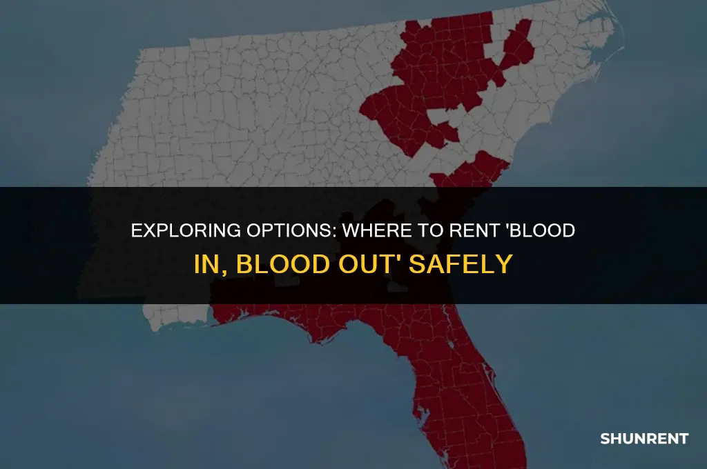 where to rent blood in blood out