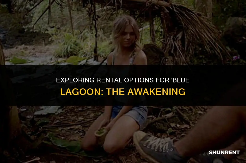 where to rent blue lagoon the awakening