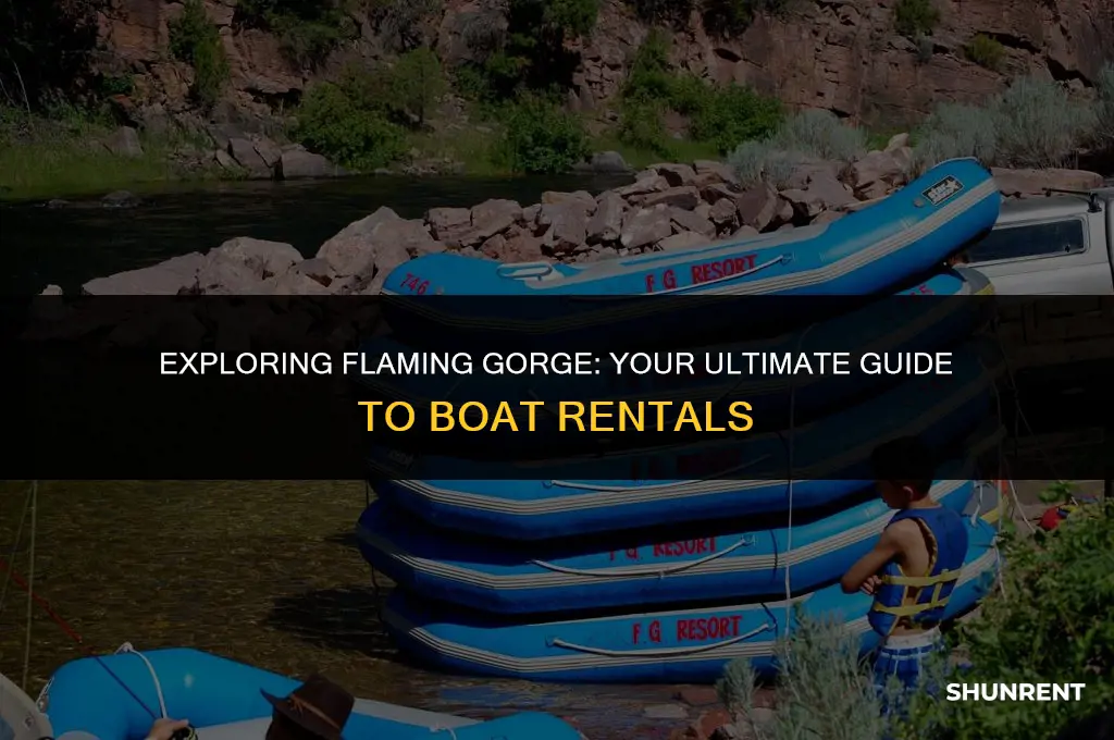 where to rent boat at flamng gorge