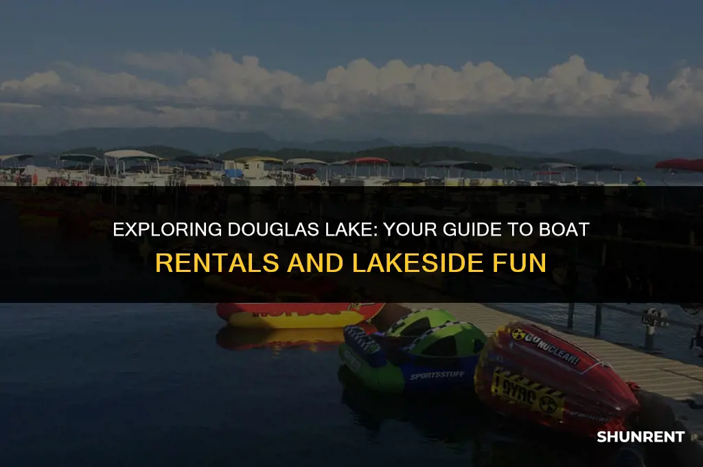 where to rent boat for douglas lake