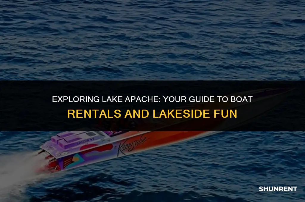 where to rent boats for lake apache
