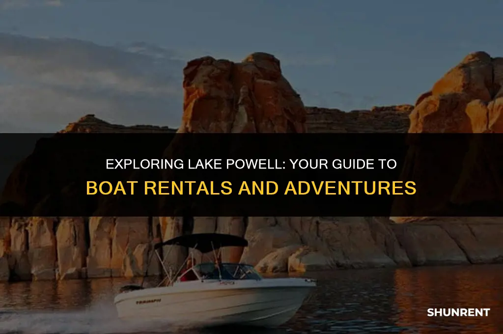 where to rent boats on lake powell