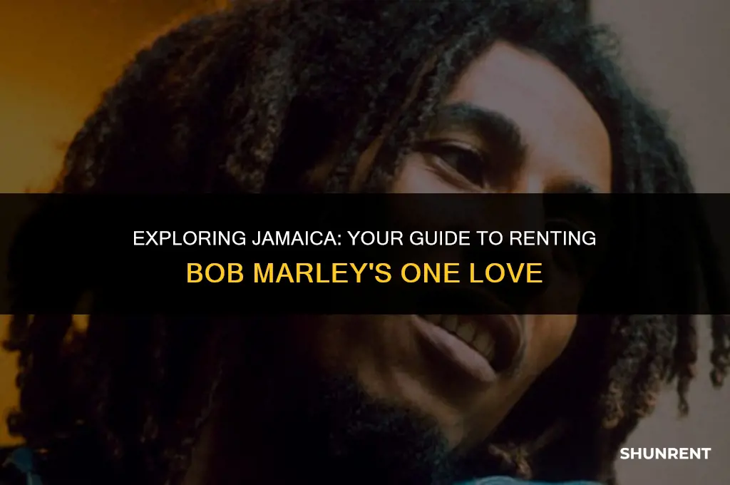 where to rent bob marley one love