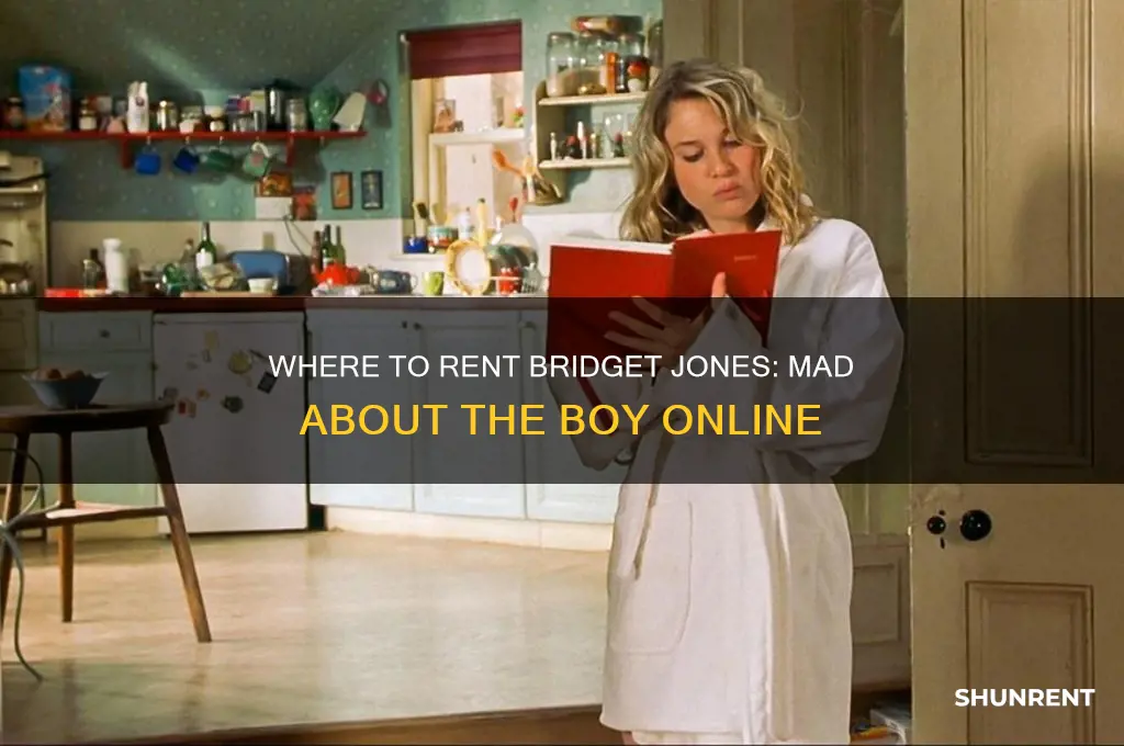 where to rent bridget jones mad about the boy