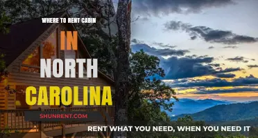 Discover Your Perfect Getaway: Top Cabin Rentals in North Carolina