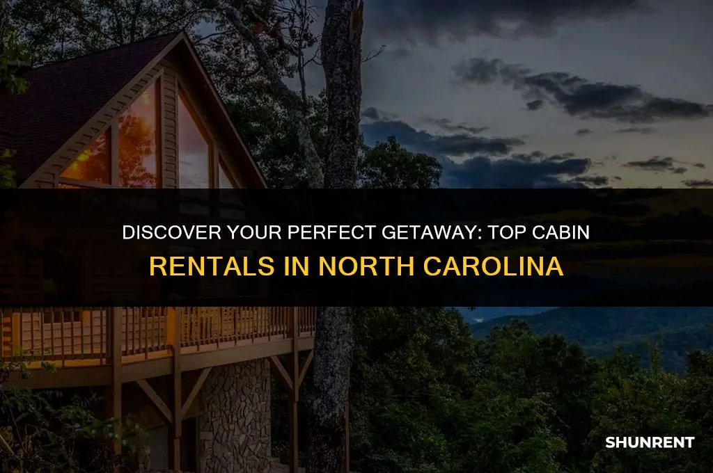 where to rent cabin in north carolina