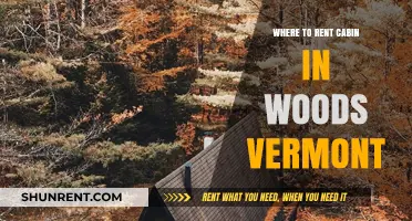 Escape to Nature: Top Spots for Renting a Cabin in Vermont Woods