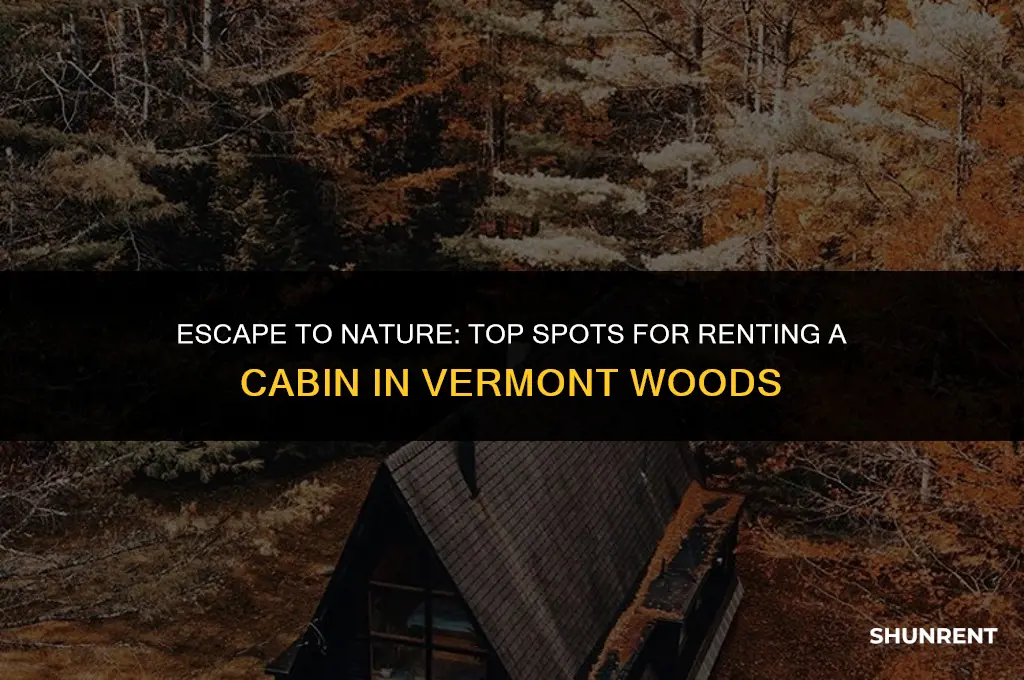 where to rent cabin in woods vermont