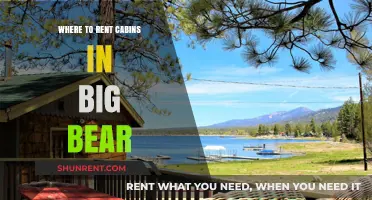 Discover Cozy Retreats: Where to Rent Cabins in Big Bear