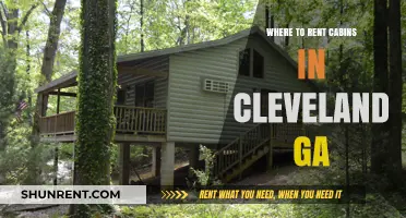 Discover Cozy Cabin Rentals in Cleveland, GA: Your Ultimate Guide