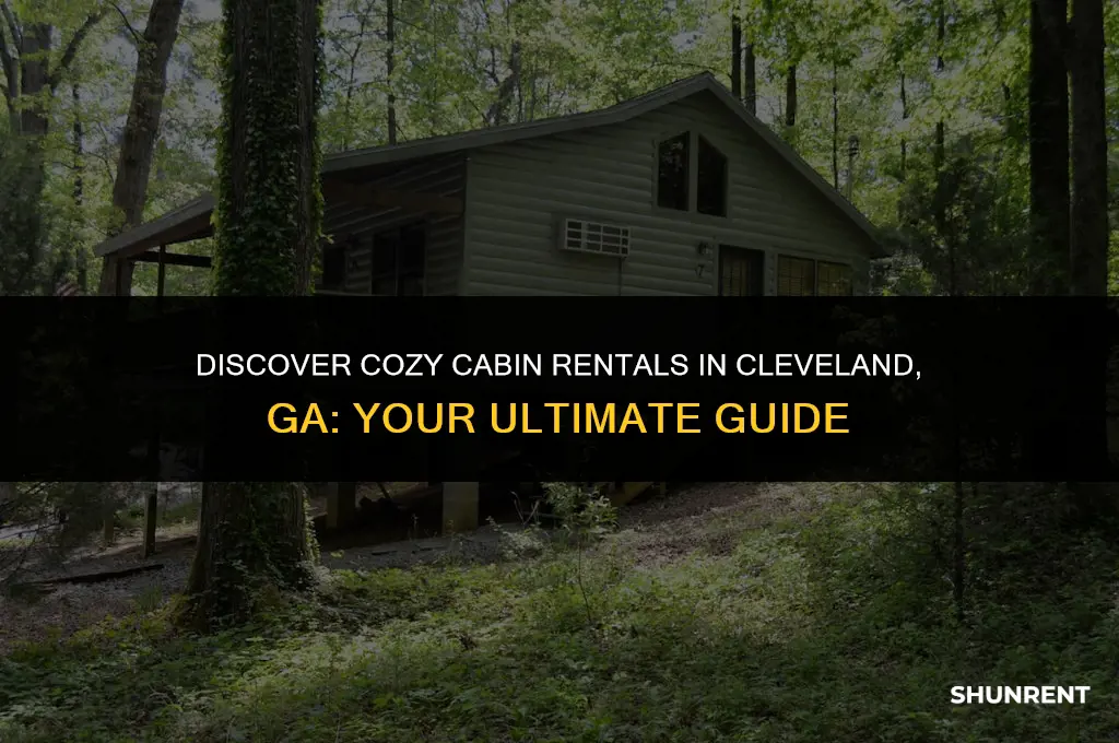 where to rent cabins in cleveland ga