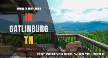 Discover Cozy Retreats: Best Cabin Rentals in Gatlinburg, TN