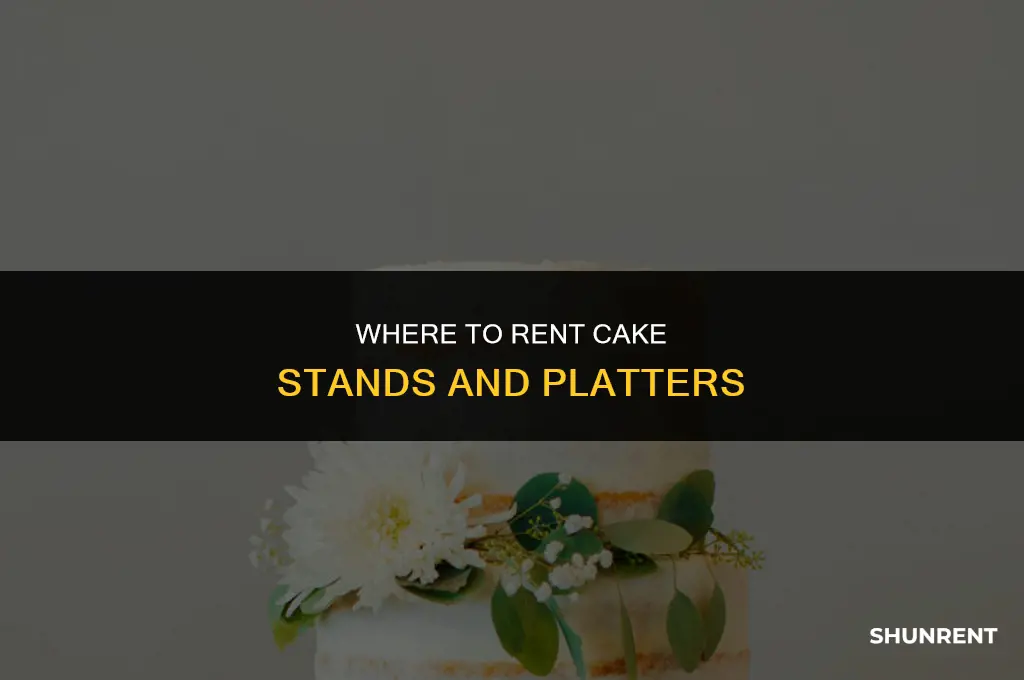 where to rent cake stands and platters