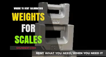 Precision Measurement: Your Guide to Renting Calibration Weights for Scales