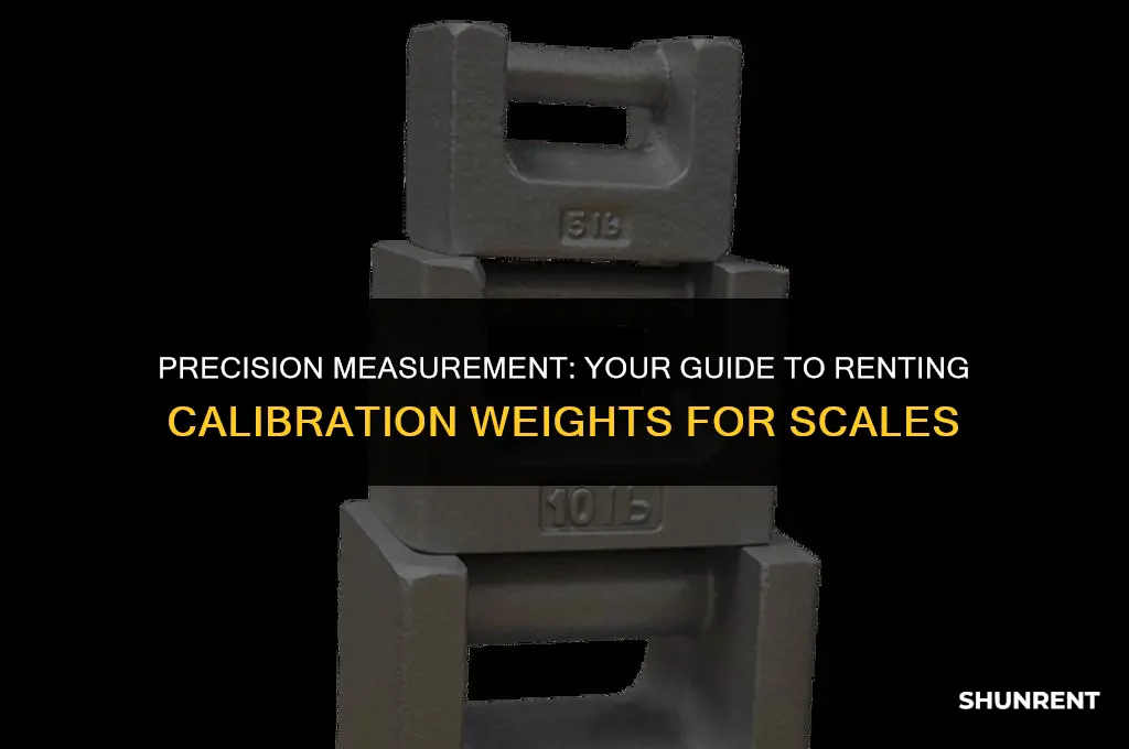 where to rent calibration weights for scales