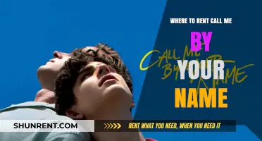 Where to Rent 'Call Me by Your Name': Streaming & Rental Options