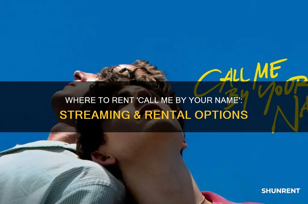 where to rent call me by your name