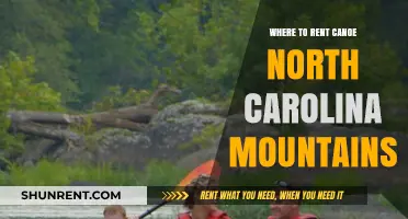 Exploring the Great Outdoors: Canoe Rentals in North Carolina Mountains
