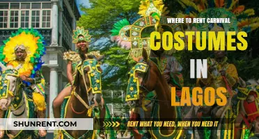 Where to Rent Carnival Costumes in Lagos: A Comprehensive Guide