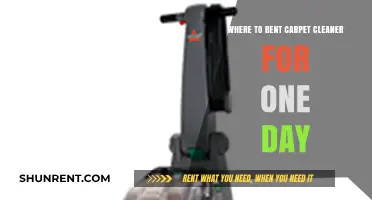 Quick Carpet Cleaning: Top One-Day Rental Locations Near You