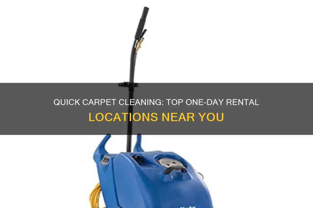 where to rent carpet cleaner for one day