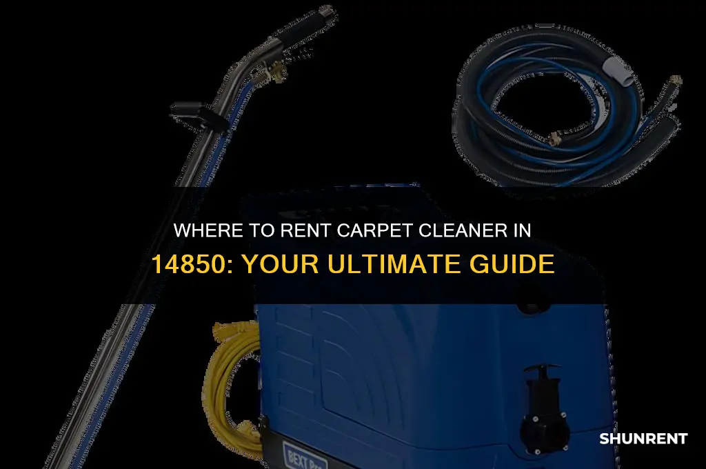 where to rent carpet cleaner in 14850