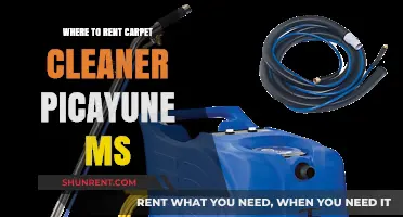 Where to Rent Carpet Cleaner in Picayune, MS: Top Options