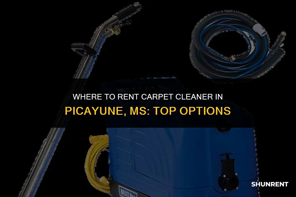 where to rent carpet cleaner picayune ms