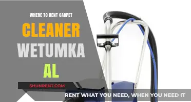 Revive Your Carpets: Top Carpet Cleaner Rentals in Wetumka, AL