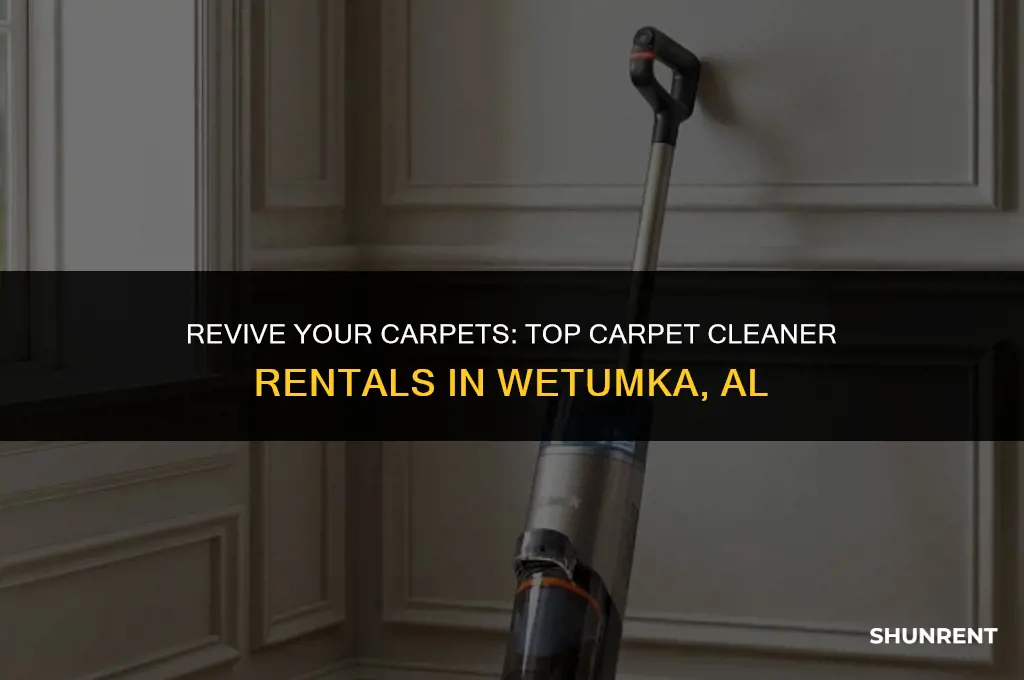 where to rent carpet cleaner wetumka al