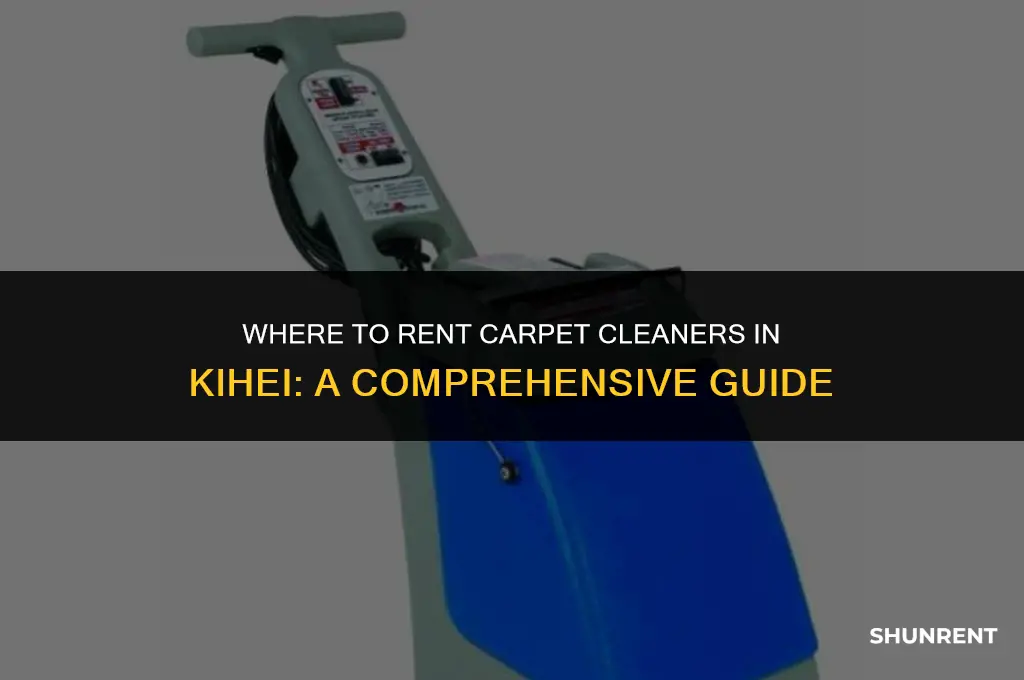 where to rent carpet cleaners in kihei